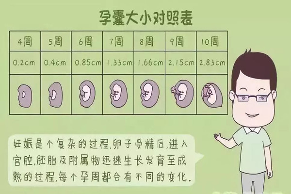 怀孕45天孕囊大小图片