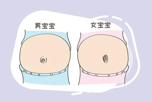 生男孩的孕妇肚子形状特征附图片,过来人都说准!