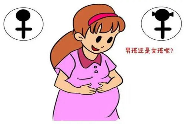 77算法查男女图片