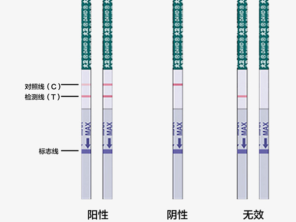 怀孕试纸怎么看 图解图片