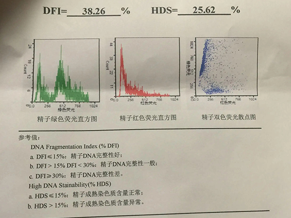 精子质量怎么检测图片